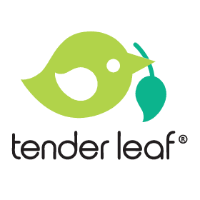 Tender Leaf Toys - Toy Wonder