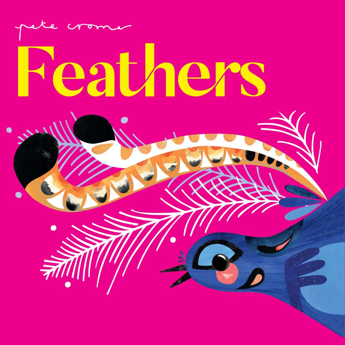 Pete Cromer: Feathers - Boardbook