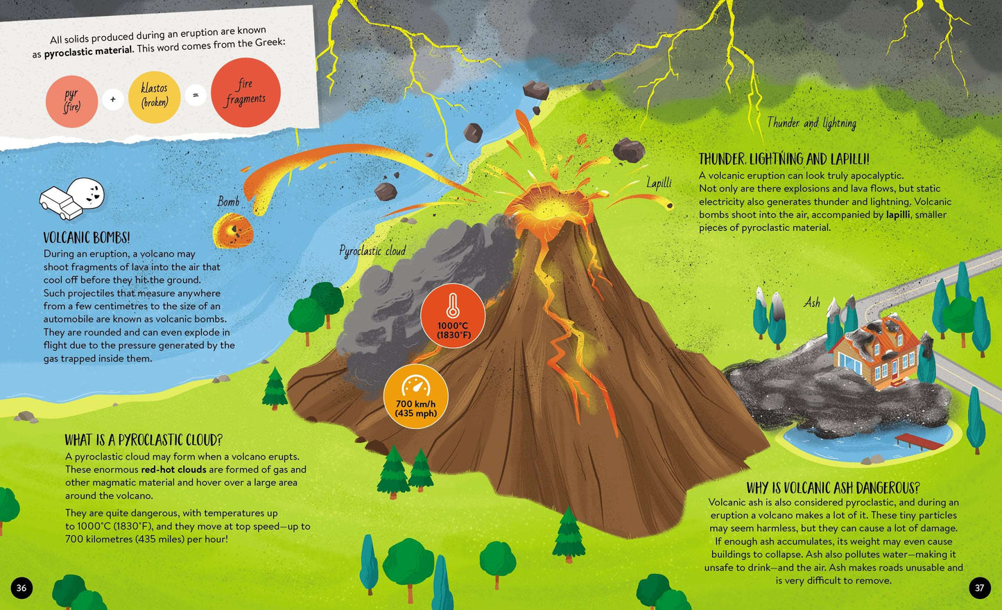 Sassi - What How Why Volcanoes - Book and Poster