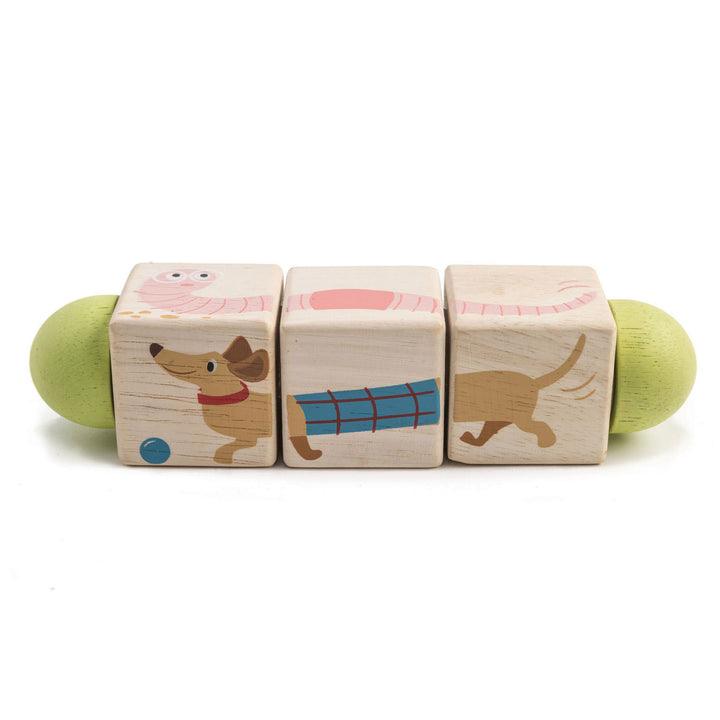 Tender Leaf Toys - Wooden Twisting Cubes - Toy Wonder