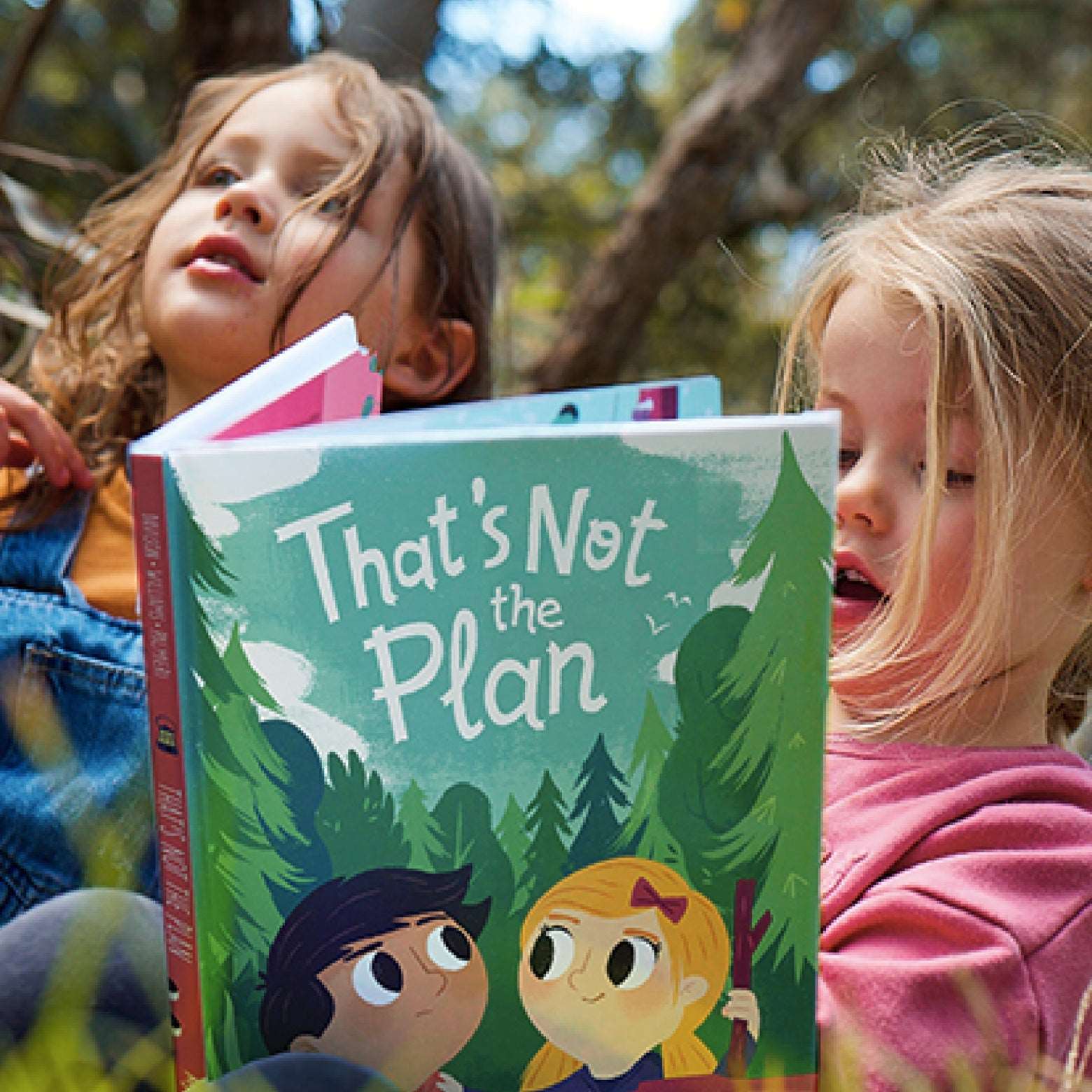 My Big Moments - That's Not The Plan Book